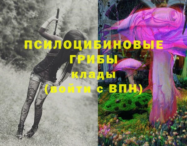 СК Надым
